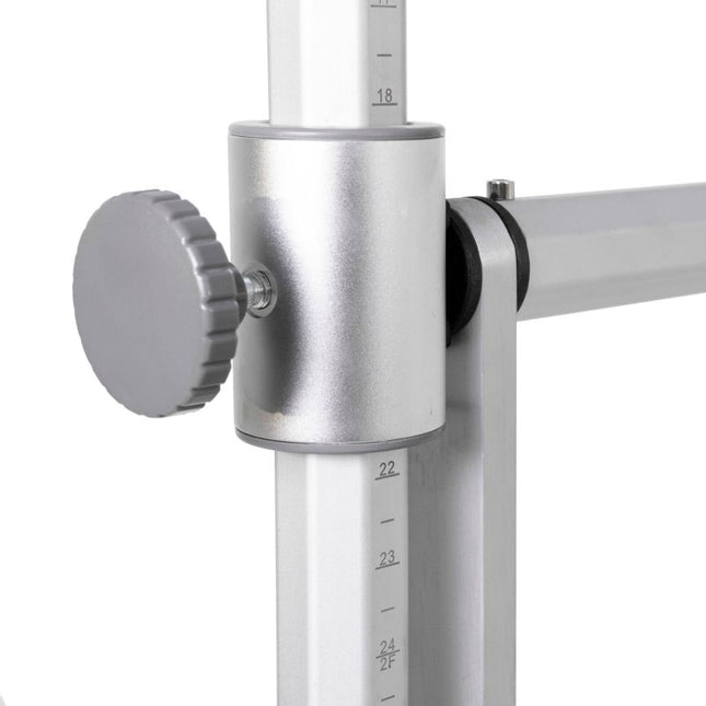 Reformer Master Instructor Fisio with Tower